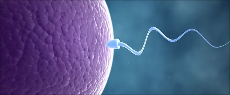 Government Health Expert from India Details New Discoveries Showing Wireless Damages Sperm