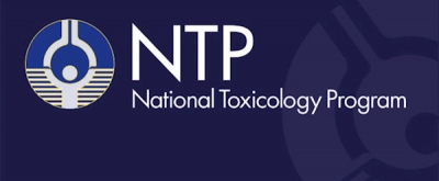 ICNIRP has Misrepresented the National Toxicology Program Study on Cell Phone Radiation